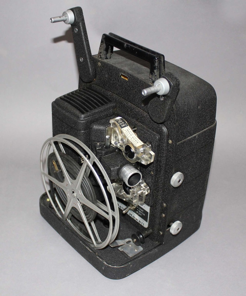 PET-001-02.jpg
