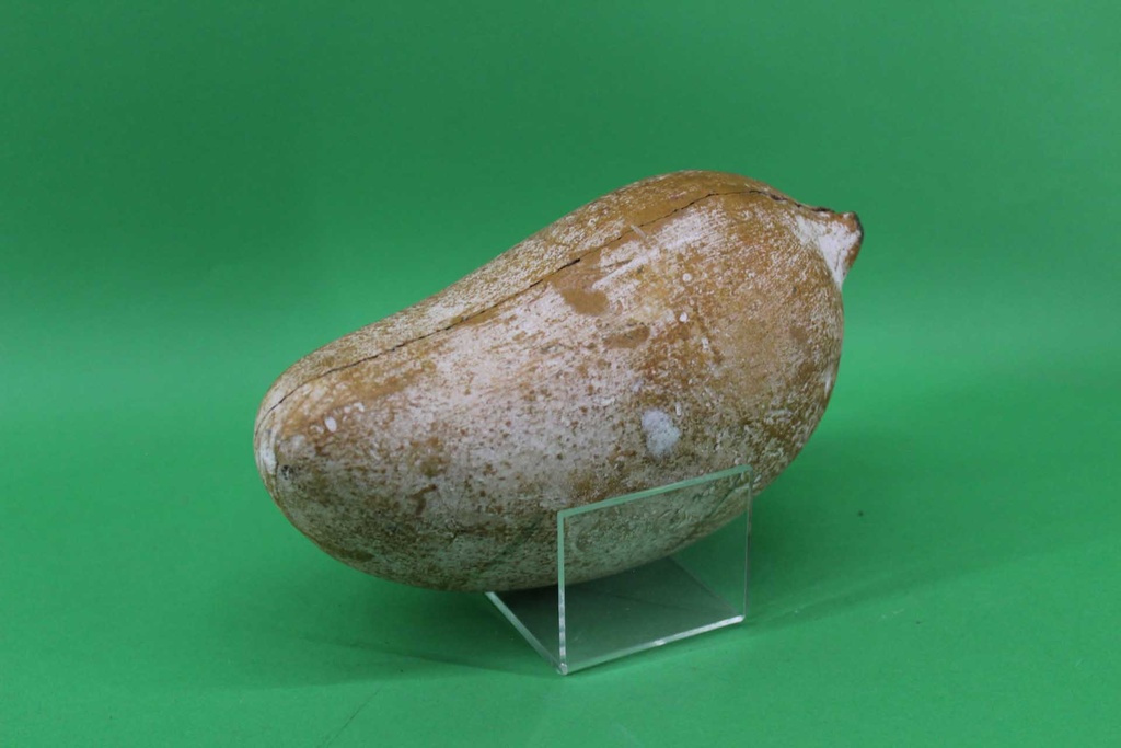 PDK-029-02.JPG