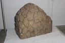 PDM-036-02.JPG