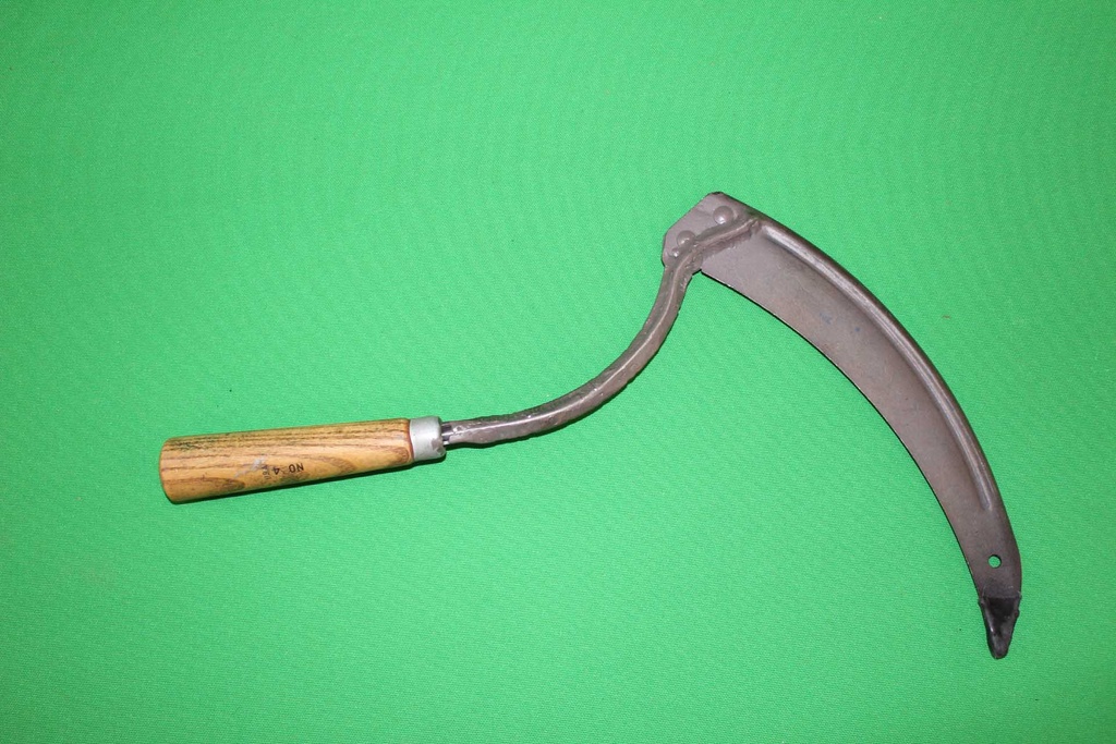 PPT-005-02.JPG
