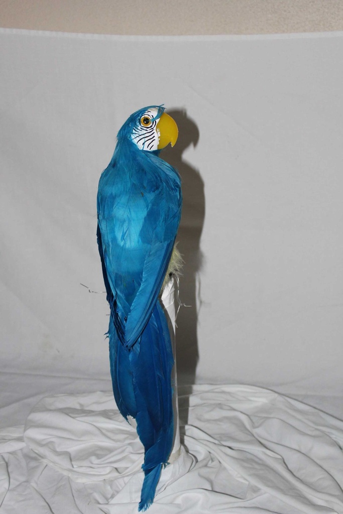 PTA-051-03.JPG