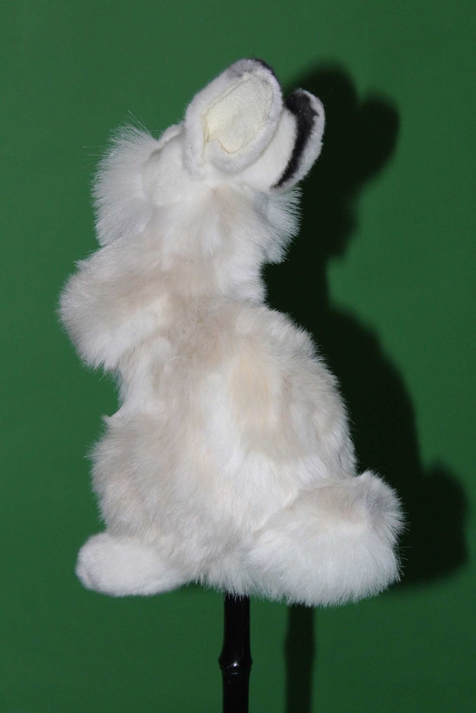 PPP-002-02.jpg