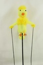 PPP-003-03.jpg