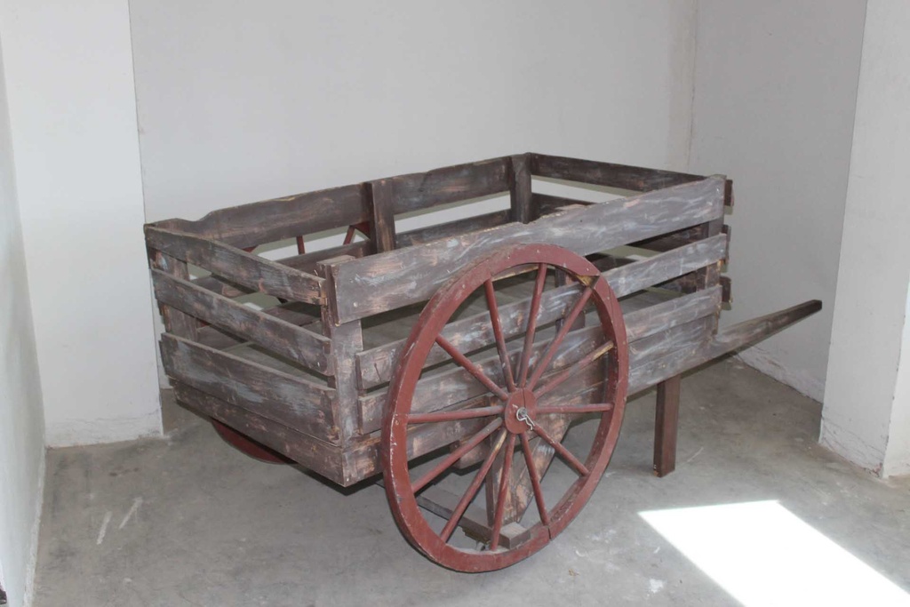 PFM-008-02.JPG
