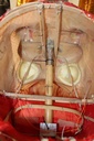PPP-001-23.jpg