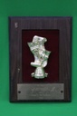 Plaque