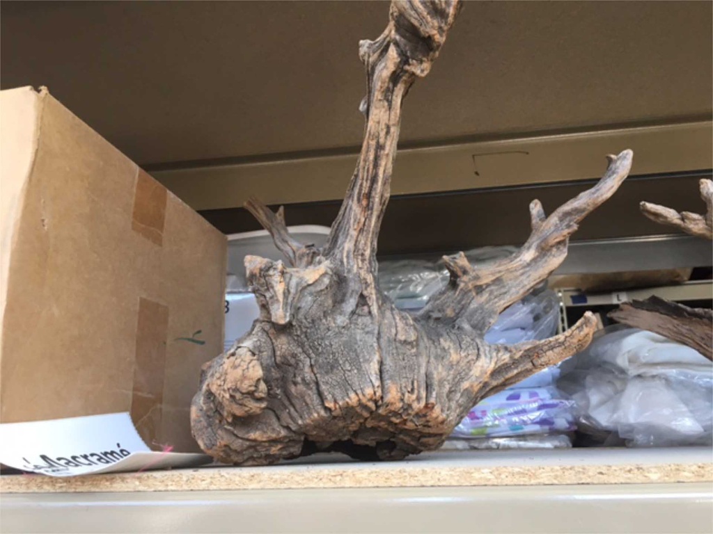 Driftwood #2