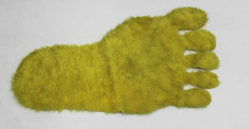 Footprint Rug
