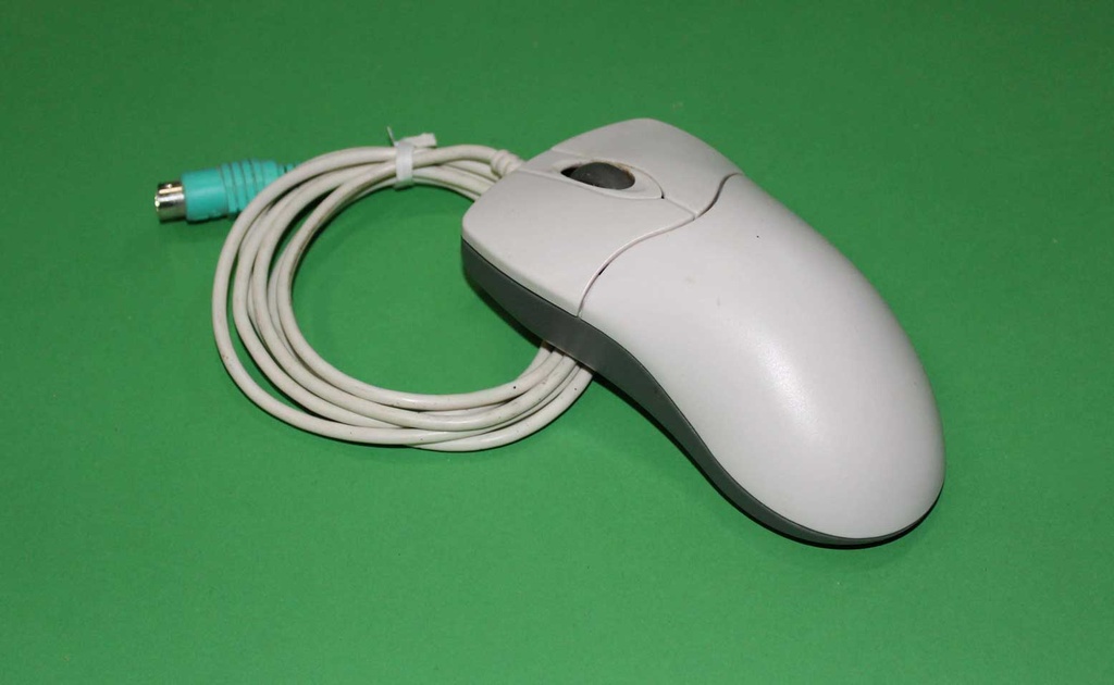 Computer Mouse