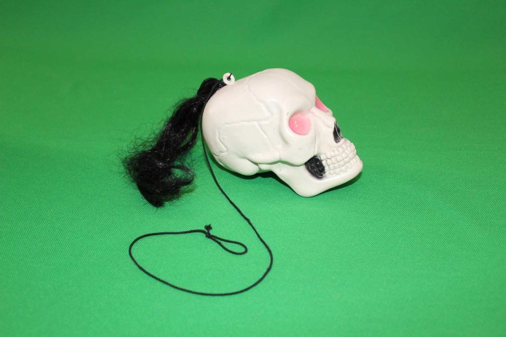 Voodoo Skull