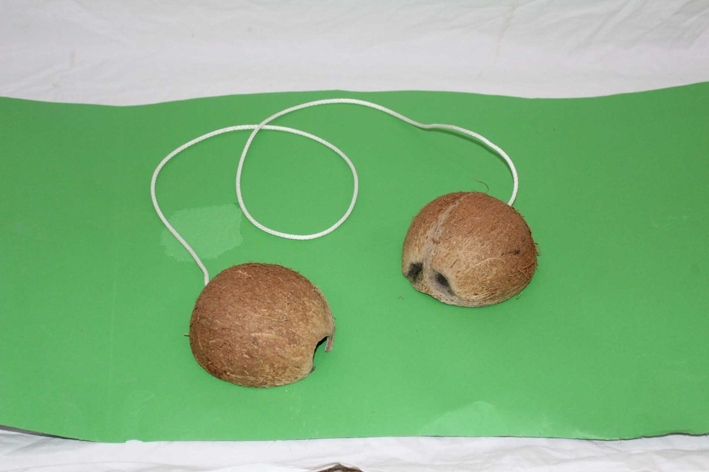 Coconut Halves