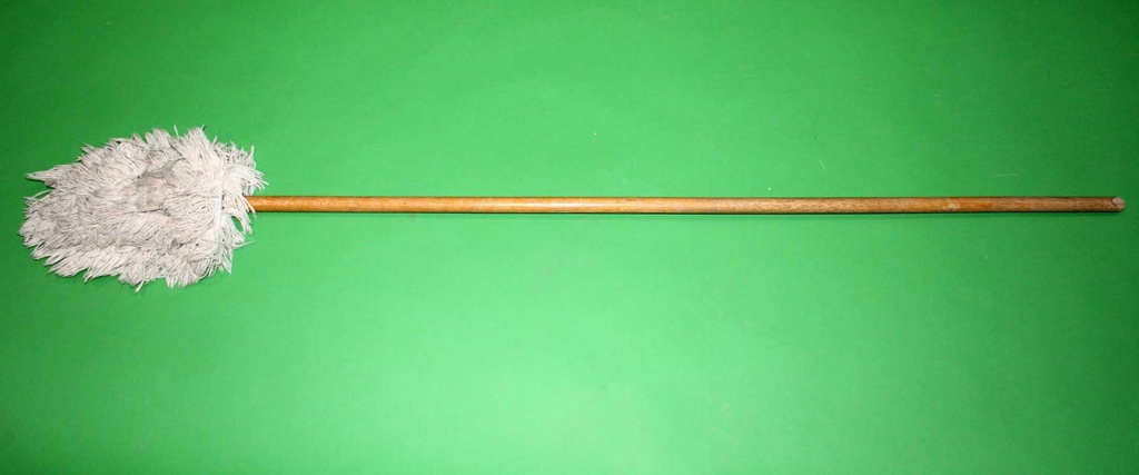 Mop