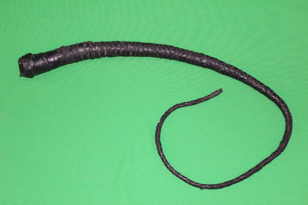 Bull Whip