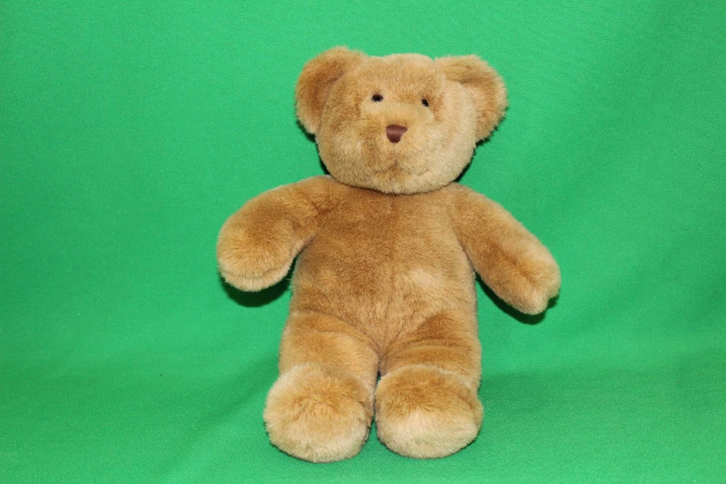 Teddy Bear