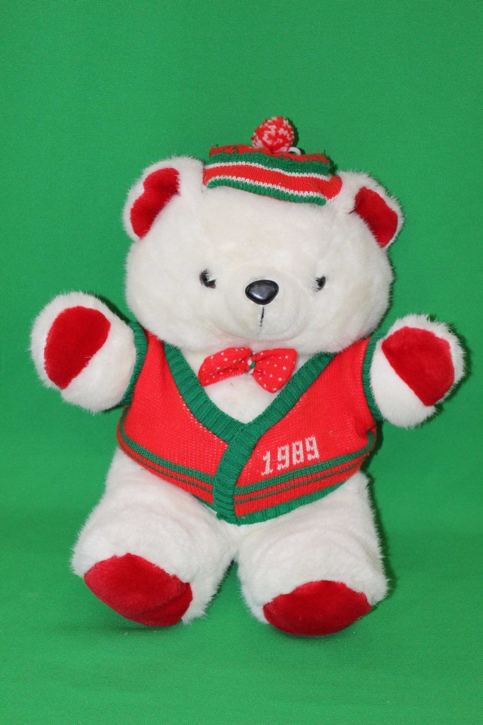 Teddy Bear