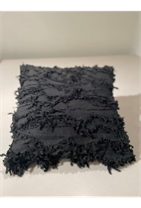 Black Shag