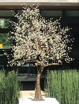 Large LED Trees