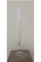 Long Halo Pedestal