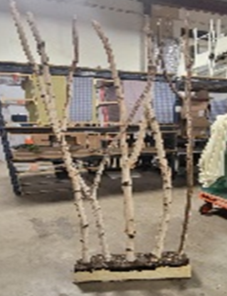 Birch Wall