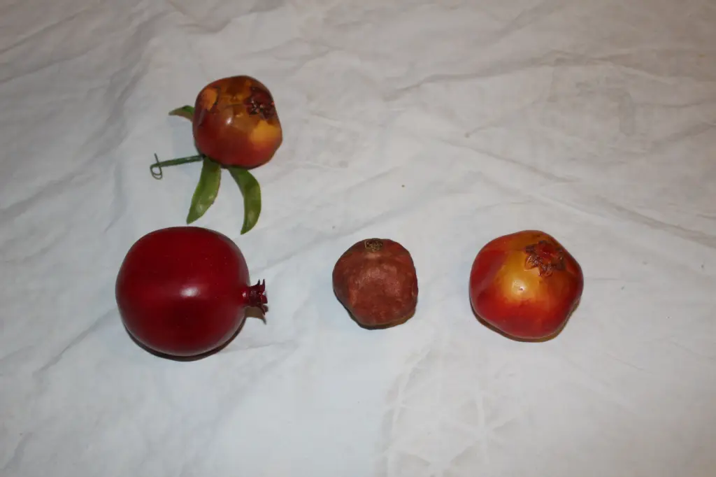 Pomegranate