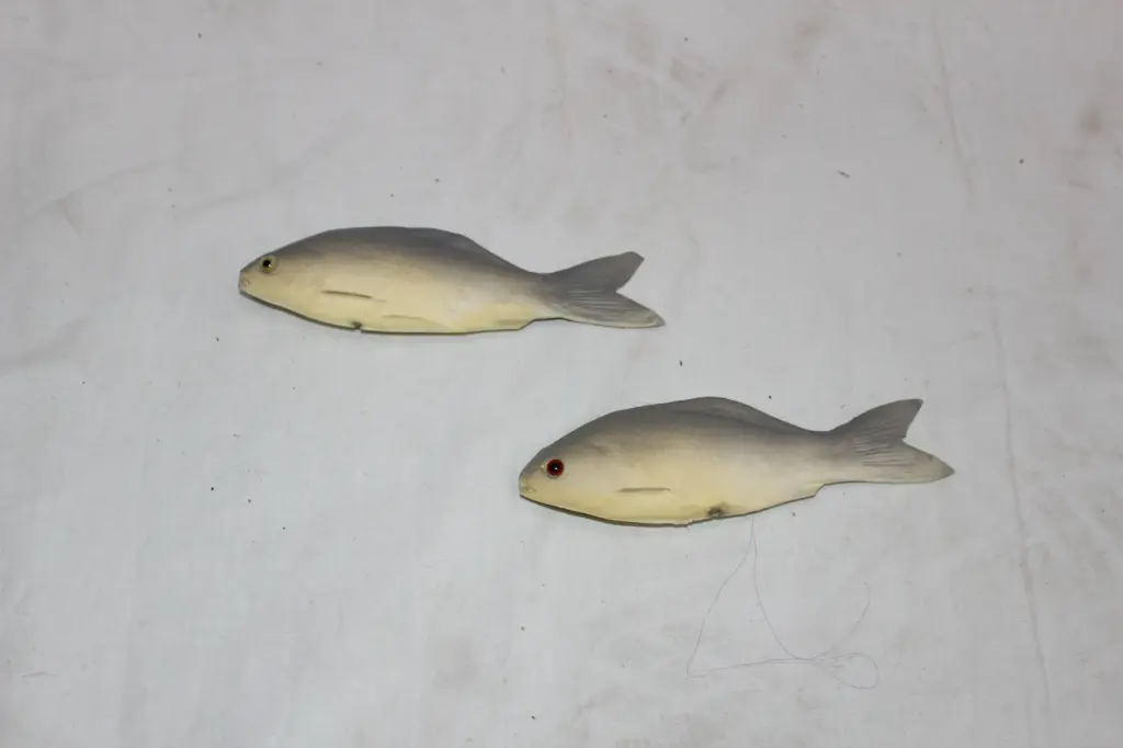 Small Fish
