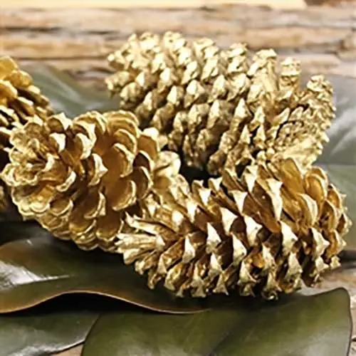 3-4" Gold Pinecone