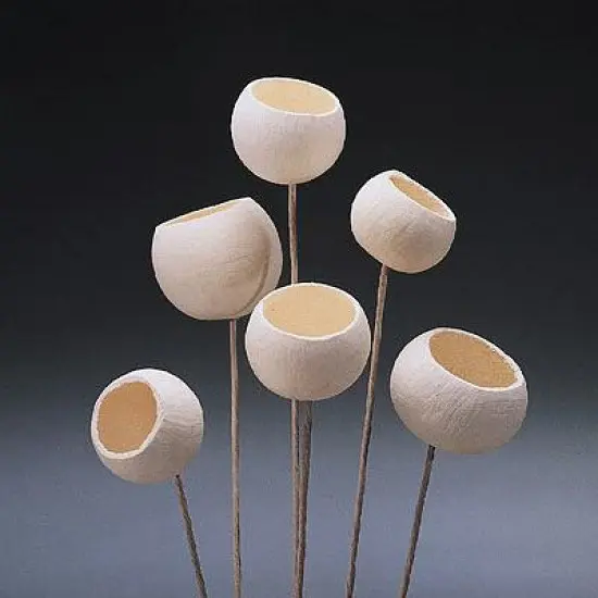 Bell Cup Stem - Bleached