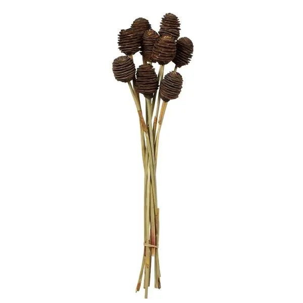 18-24“ Nat Brown Platy Cone Stem