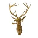 "Frankie the Buck" Wall Mount