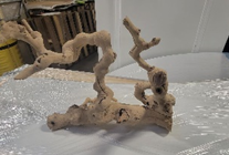 [EDA-022] Drift Wood