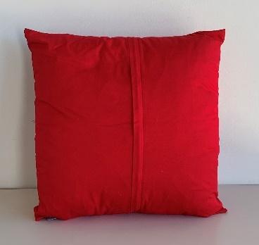 [EDD-003] Red Single Pleat