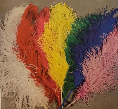 [EDM-050] White Feathers