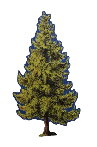 [PDF-029] Pine Tree Flat - Large