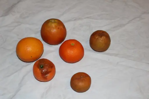 [PKF-187] Orange