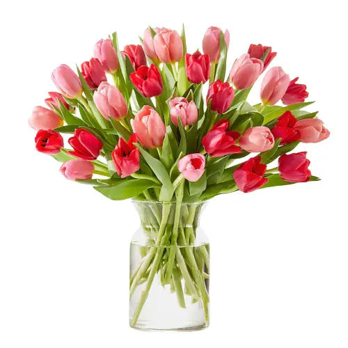 [BFA-Juliet-Premium] Juliet Arrangement - Premium