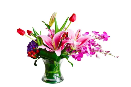 [BFA-Stargazer] Starstruck Arrangement