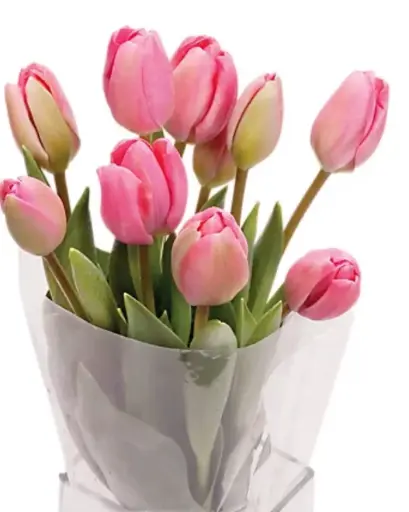 [BFB-TulBunch] Tulip Bunch Bouquet
