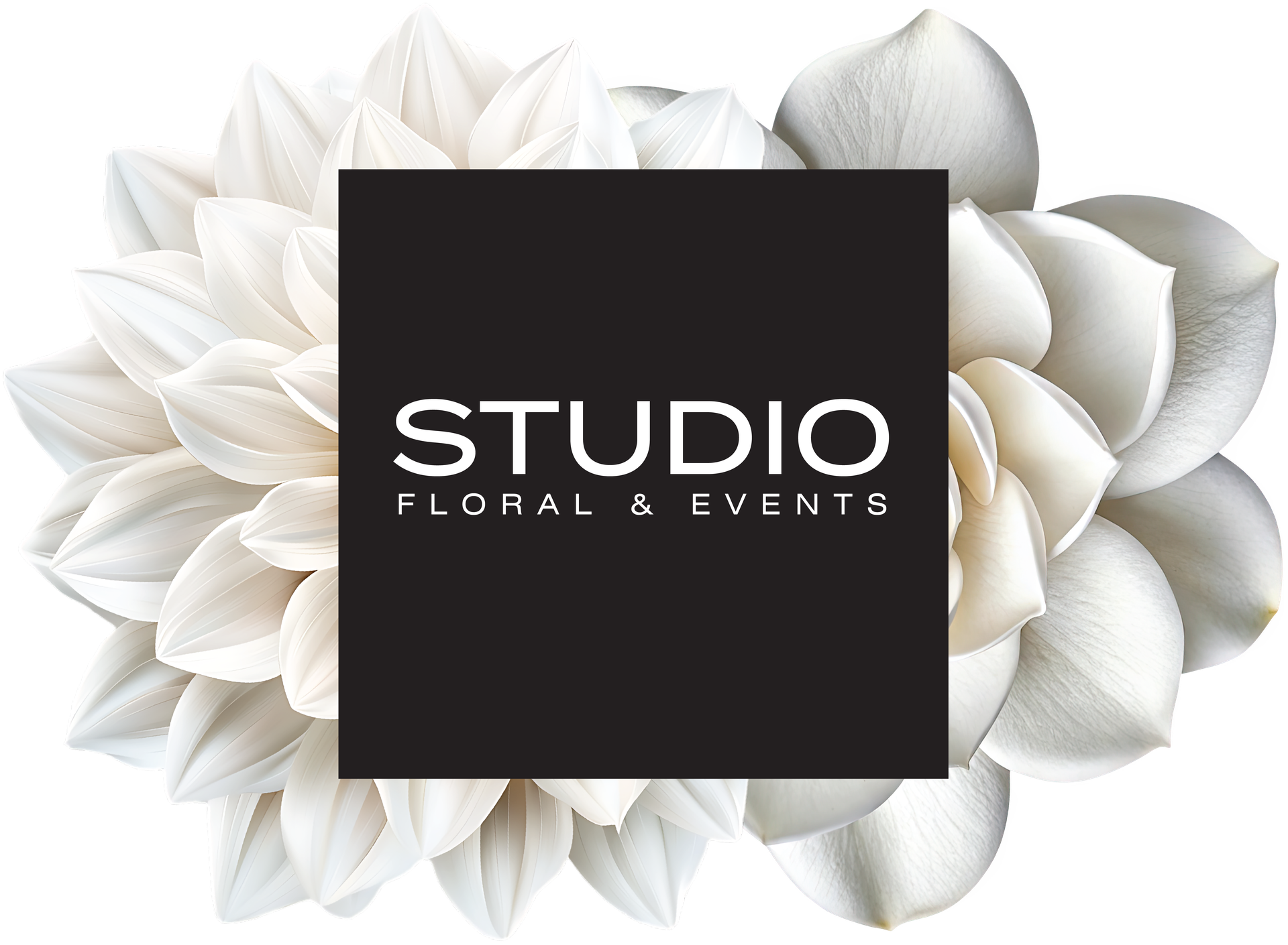 Studio Dan Meiners